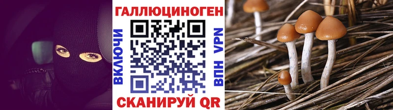 Псилоцибиновые грибы Magic Shrooms  Красково 